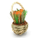 Oxbow Enriched Life Celebration Basket For Small Animals