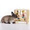 Oxbow Enriched Life Play Table Toy For Small Animals