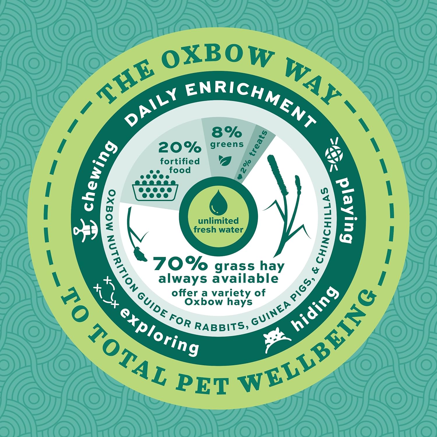 Oxbow forage wise adult rabbit food 4lb adult rabbit food