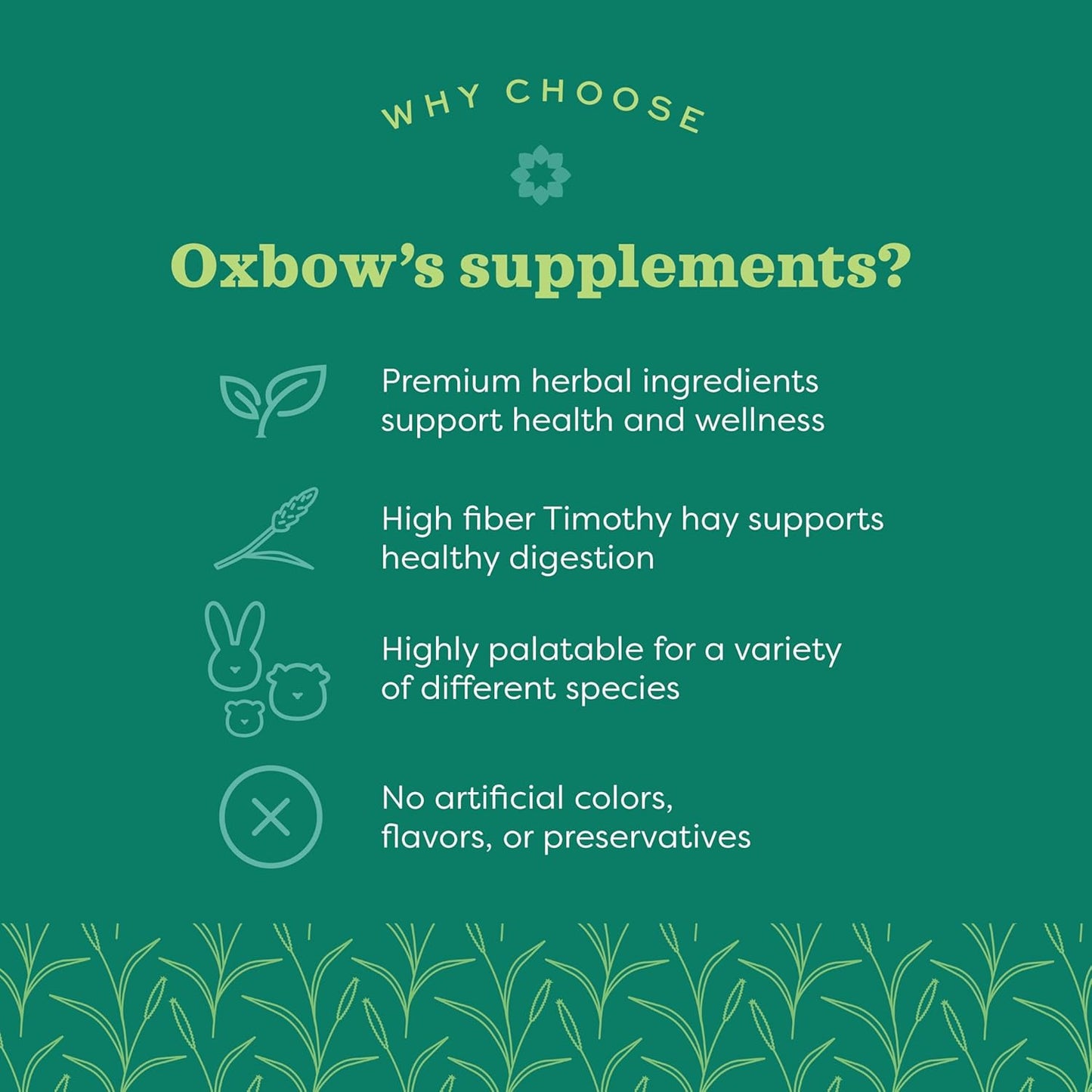 Oxbow natural science vitamin c baked small animal supplemental treats 4.2oz