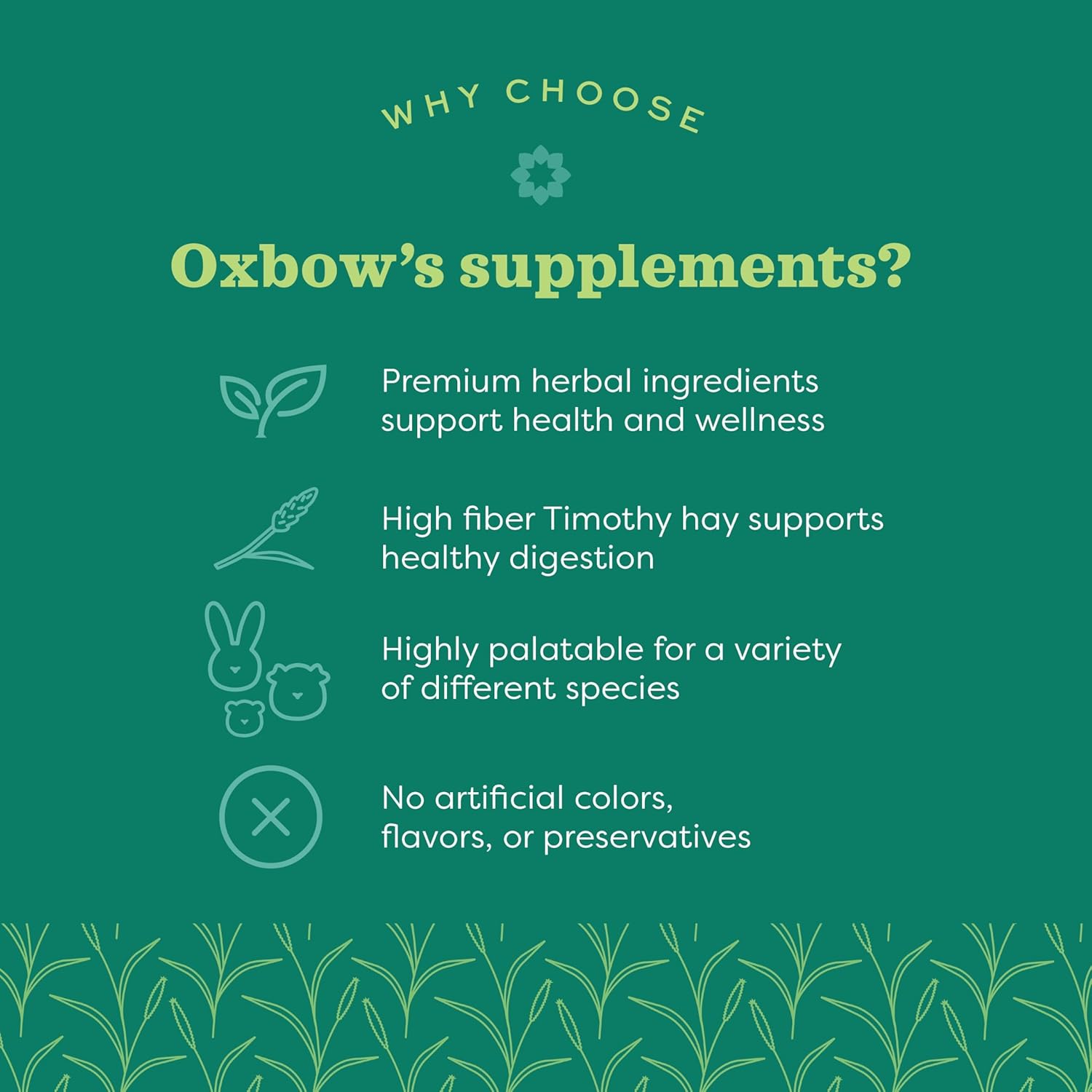 Oxbow natural science vitamin c baked small animal supplemental treats 4.2oz