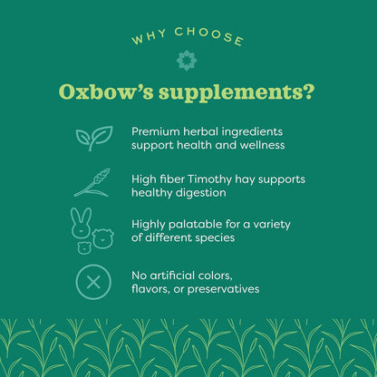 Oxbow natural science vitamin c baked small animal supplemental treats 4.2oz