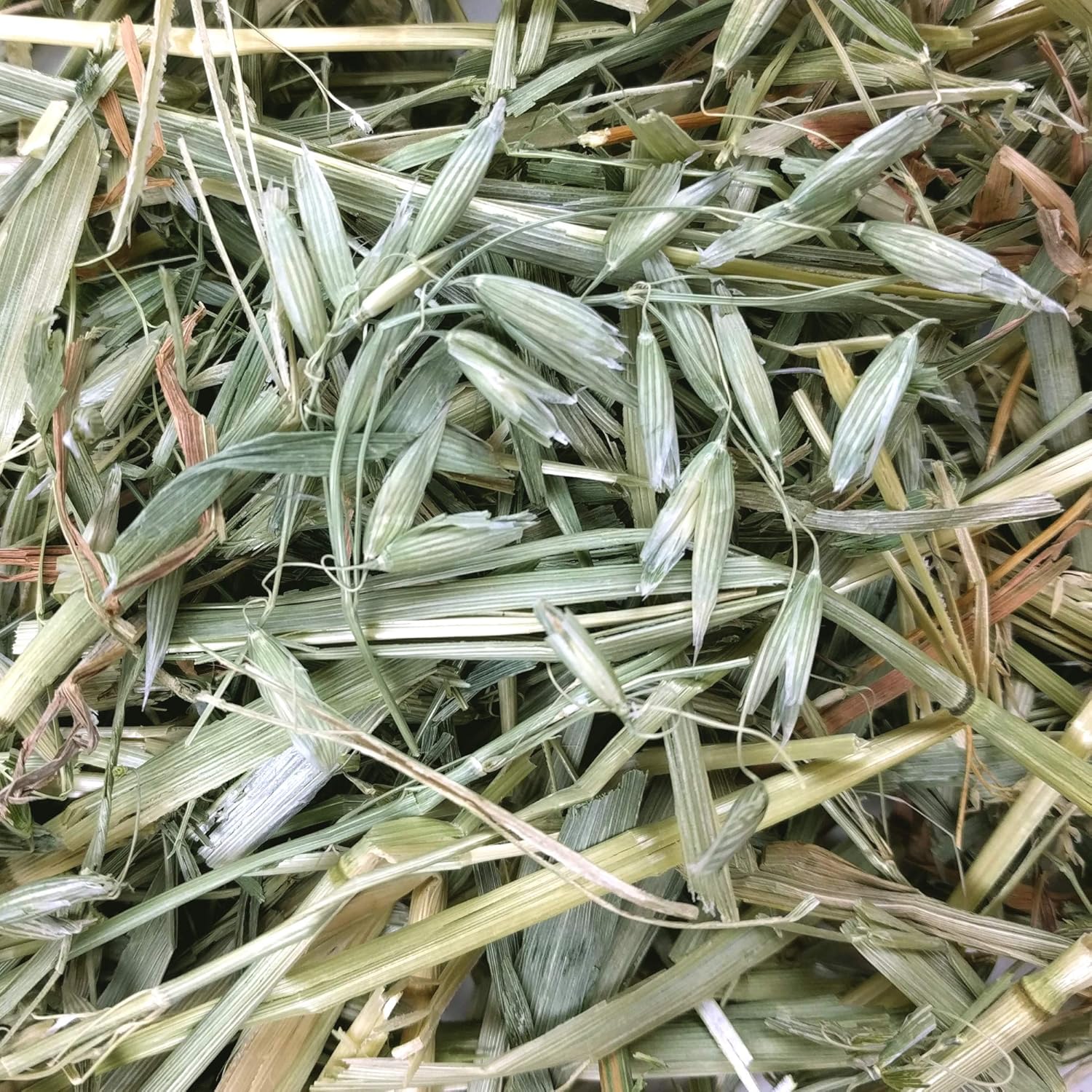 Oxbow oat hay small animal hay 15oz bag