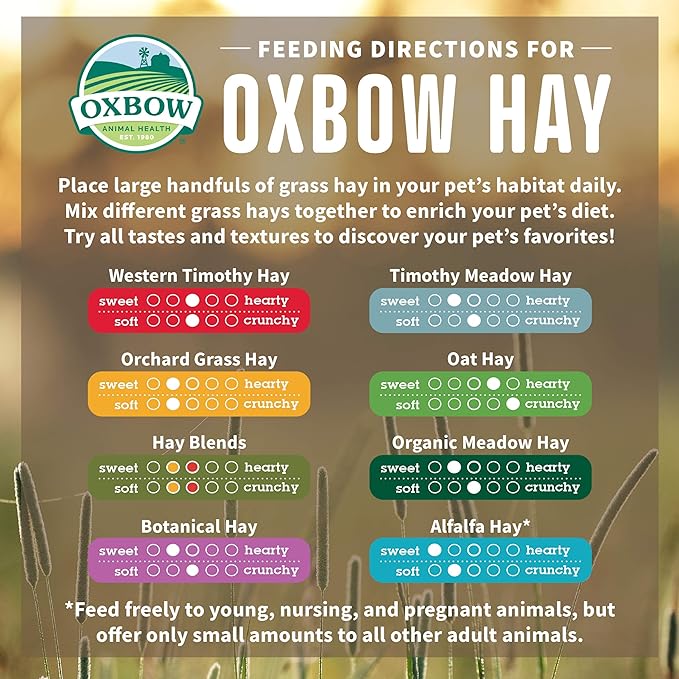 Oxbow oat hay small animal hay 15oz bag