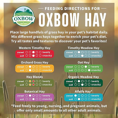 Oxbow oat hay small animal hay 15oz bag