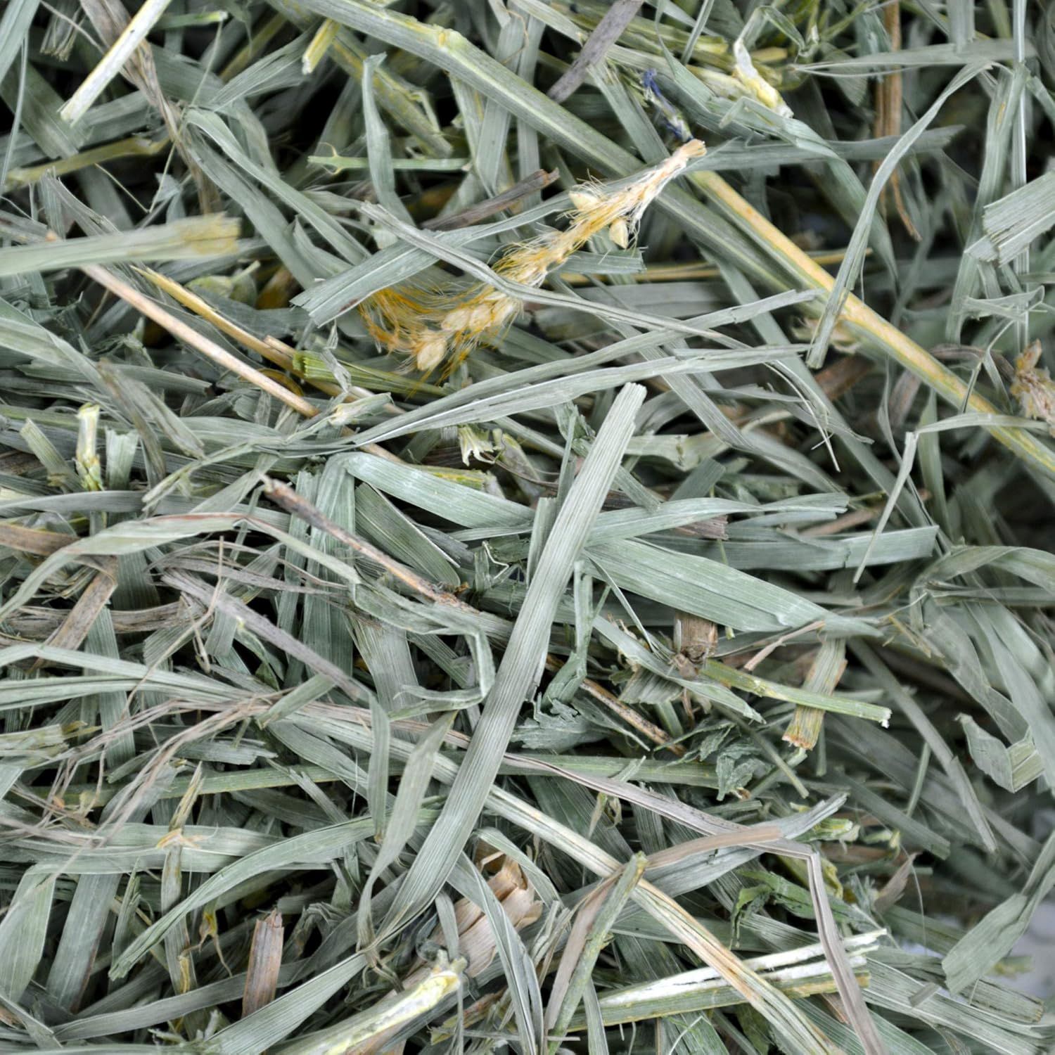 Oxbow organic meadow hay 15oz small animal hay