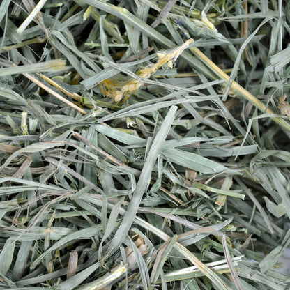 Oxbow organic meadow hay 15oz small animal hay
