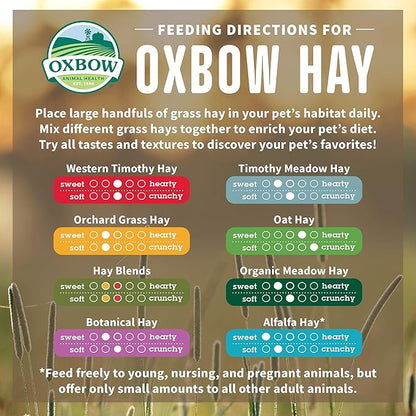 Oxbow organic meadow hay 15oz small animal hay
