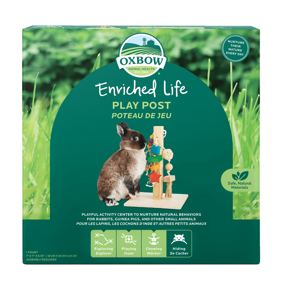 Oxbow play post for rabbits