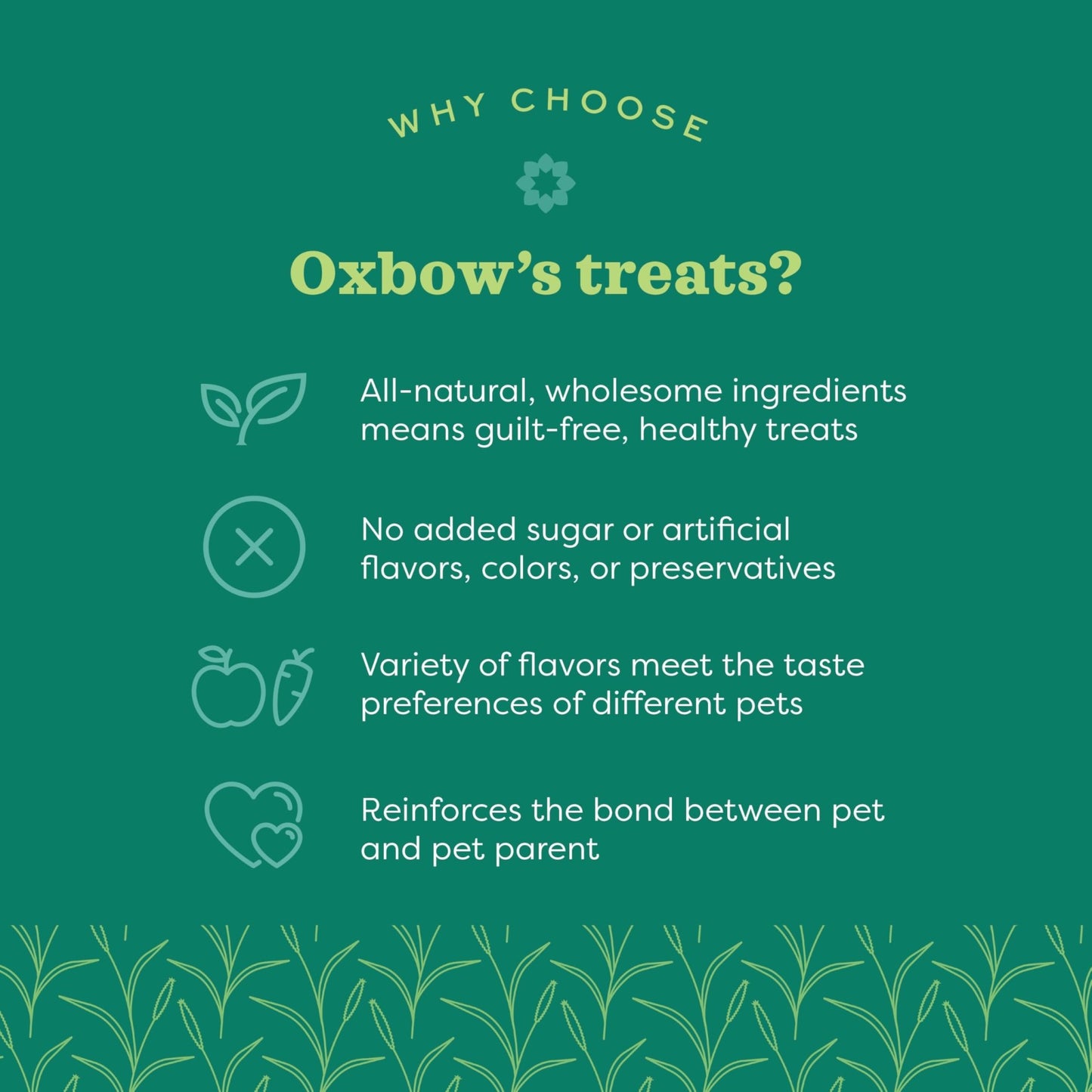 Oxbow Simple Rewards Veggie and Hay Blend Treats for Rabbits, Guinea Pigs, Chinchillas, and Small Pets 3 Ounce (Pack of 1)