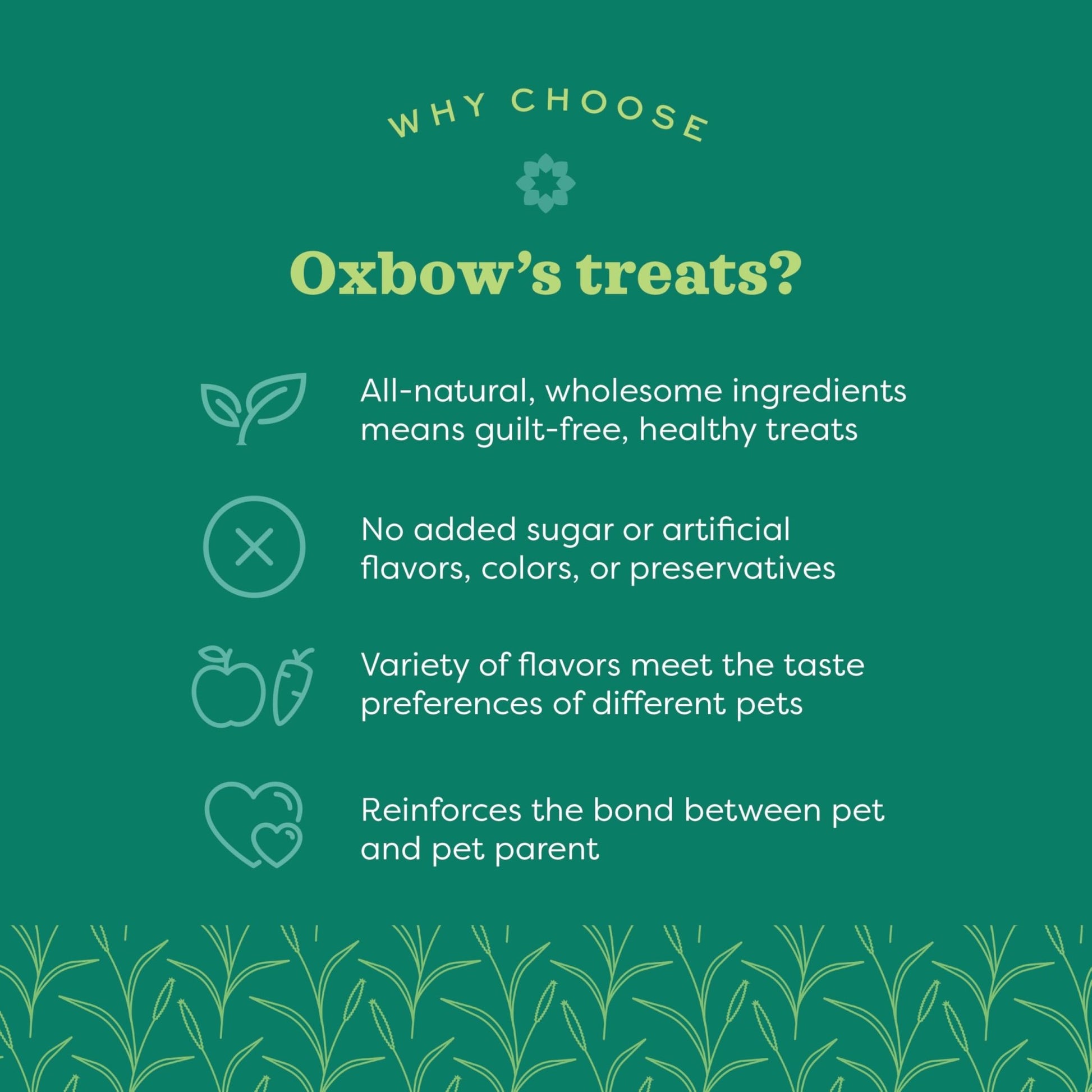 Oxbow Simple Rewards Veggie and Hay Blend Treats for Rabbits, Guinea Pigs, Chinchillas, and Small Pets 3 Ounce (Pack of 1)