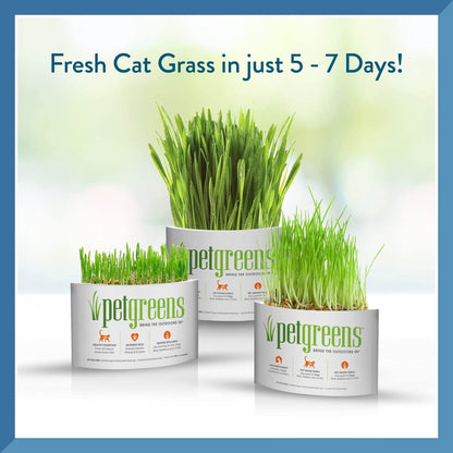 Pet Greens Self - Grow Pet Grass Kit