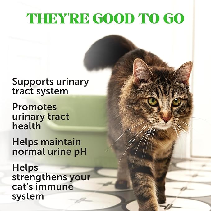Pet honesty urinary tract health treats 3.7oz