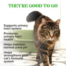 Pet honesty urinary tract health treats 3.7oz
