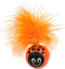 Pet sport kitty freak ladybug