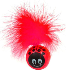 Pet sport kitty freak ladybug