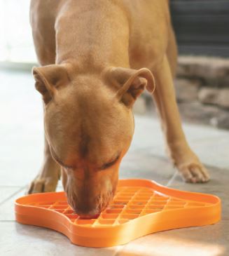 Pet Zone Boredom Busterzz Slow Feeder Licking Bowl For Dogs - Orange