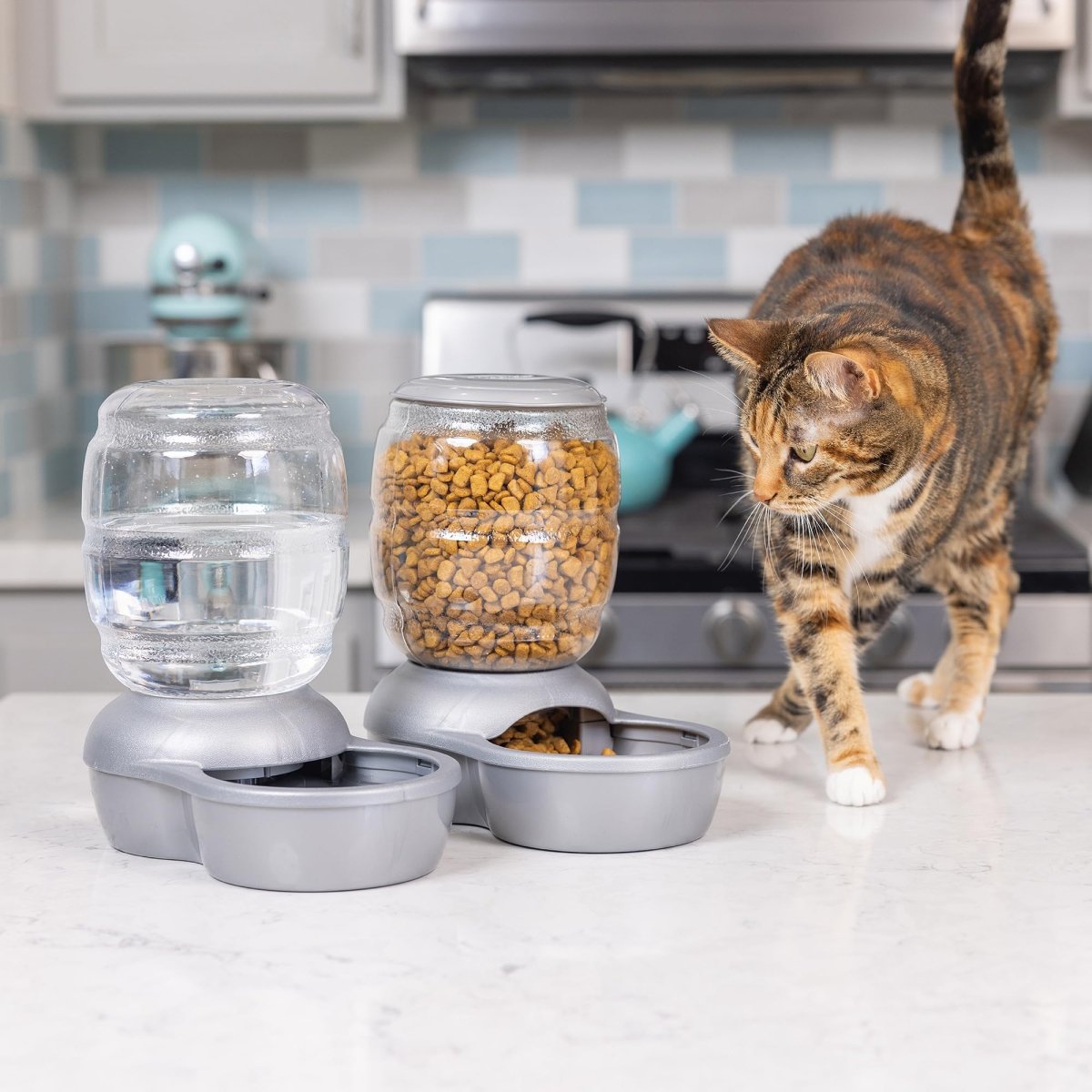Petmate Replendish Automatic Gravity Waterer for Cats and Dogs - BPA - Free - No Batteries Required Includes Charcoal Filter - 0.5 Gallon - Silver