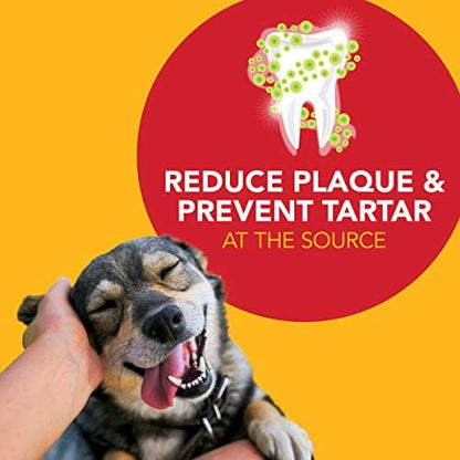 Petrodex advanced dental care toothpaste for dogs 2.5oz