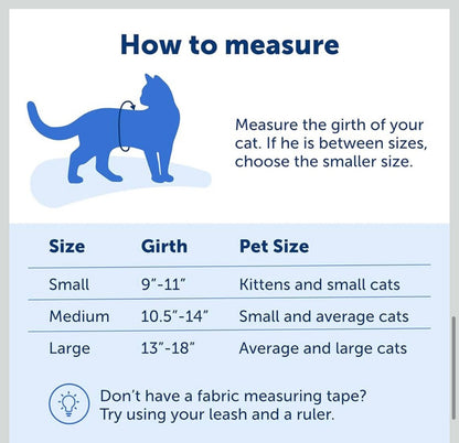 Petsafe come with me kitty harness and bungee leash