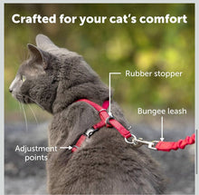 Petsafe come with me kitty harness and bungee leash