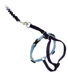PetSafe Come with Me Kitty Harness and Bungee Leash, Large, Black