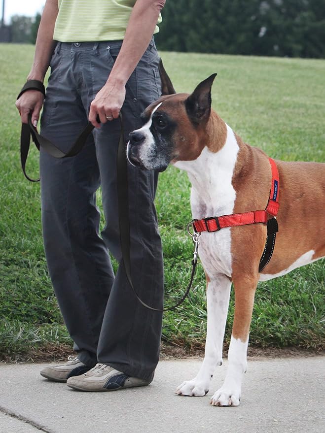 Petsafe deluxe easy walk no pull harness medium Rose/black