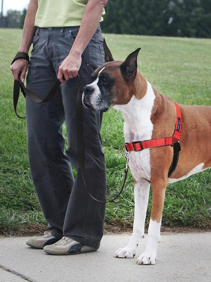 Petsafe deluxe easy walk no pull harness medium Rose/black