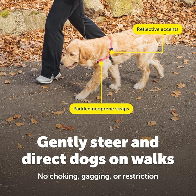 Petsafe deluxe easy walk no pull harness medium Rose/black