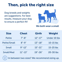 PetSafe Easy Walk No - Pull Dog Harness - The Ultimate Harness to Help Stop Pulling - Take Control & Teach Better Leash Manners - Helps Prevent Pets Pulling on Walks, Petite/Small, Black/Silver