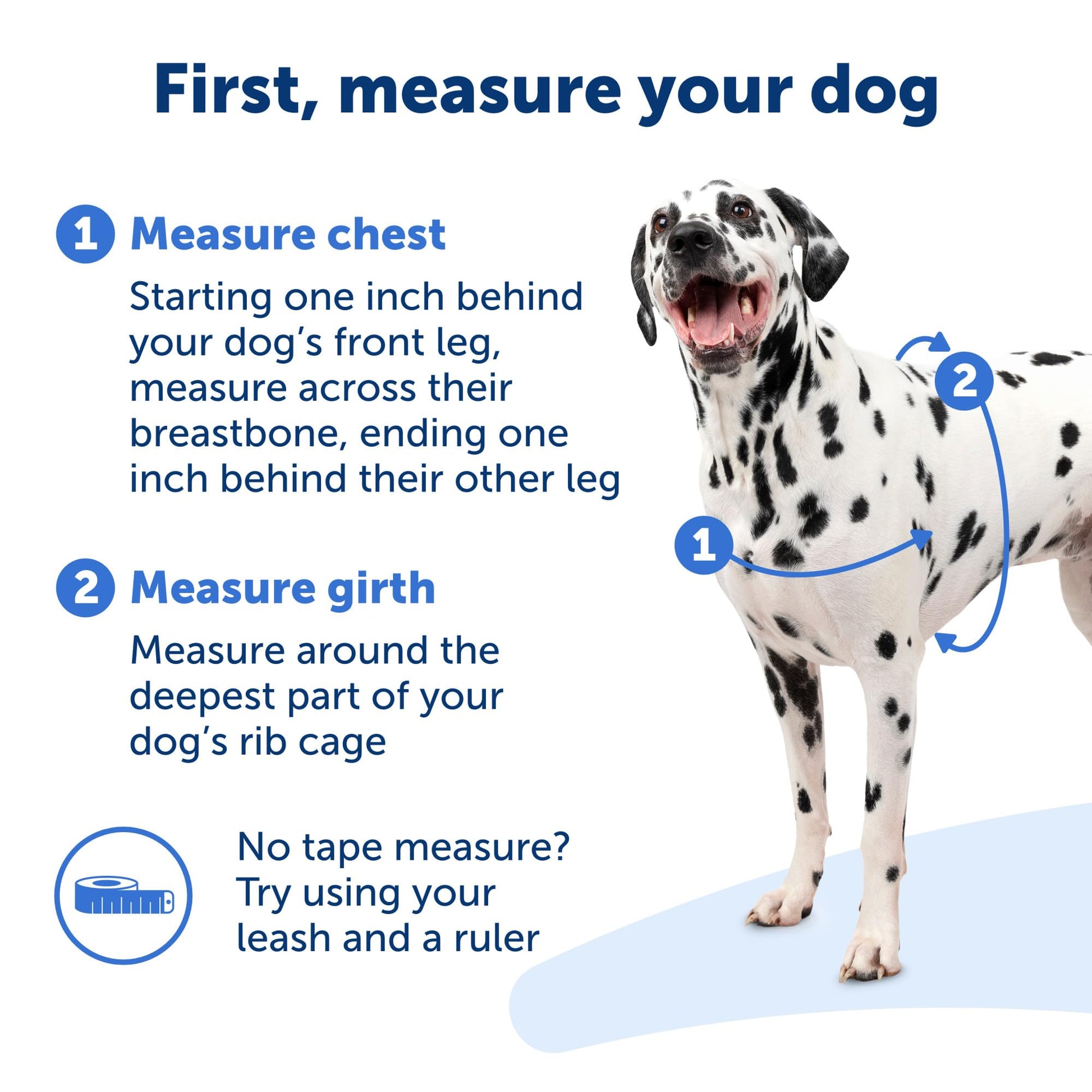 PetSafe Easy Walk No - Pull Dog Harness - The Ultimate Harness to Help Stop Pulling - Take Control & Teach Better Leash Manners - Helps Prevent Pets Pulling on Walks, Small/Medium, Black/Silver
