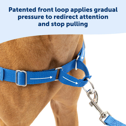 PetSafe Easy Walk No - Pull Dog Harness - The Ultimate Harness to Help Stop Pulling - Take Control & Teach Better Leash Manners - Helps Prevent Pets Pulling on Walks, Small/Medium, Black/Silver