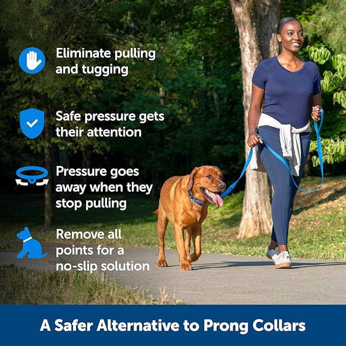 Petsafe soft point training collar medium