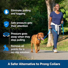 Petsafe soft point training collar medium