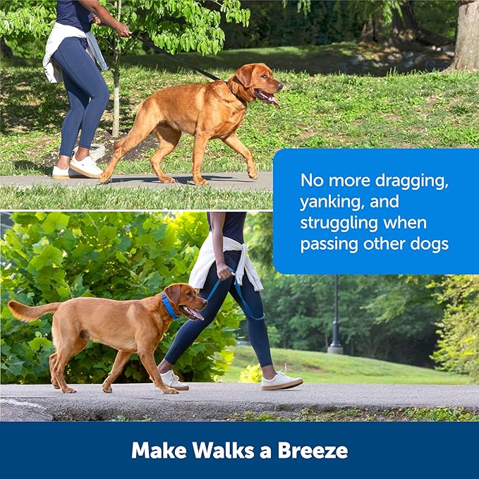 Petsafe soft point training collar medium