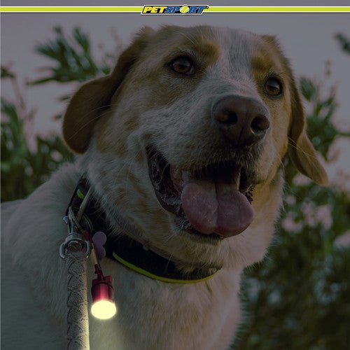 PetSport bling bling blinker dog light