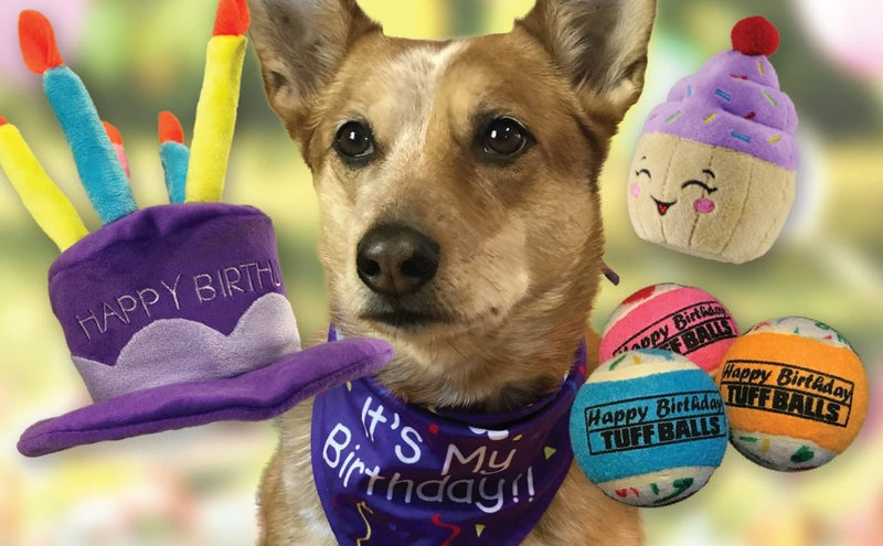 PetSport Jr. Happy Birthday Tuff Ball Dog Toys | 4 Pack Small (1.8") Pet Safe Felt & Extra - Thick Rubber Tennis Balls for Durability and Bounce | Makes a Great Gift