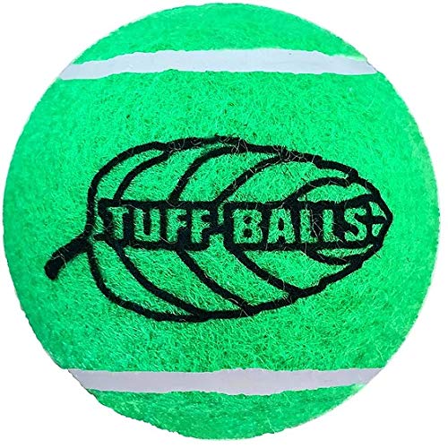 PetSport Jr. Mint Ball