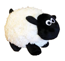 Petsport Sheldon Sheep Plush Dog Toy with Squeaker, 8 Inch, Assorted Colors