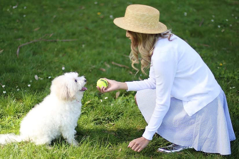 PetSport Yellow Tennis Ball Dog Toys Medium (2.5") Pet Safe Non - Toxic Industrial Strength Felt & Rubber Tuff Balls | Play Fetch, Launch, Chuck or Toss at Dog Park