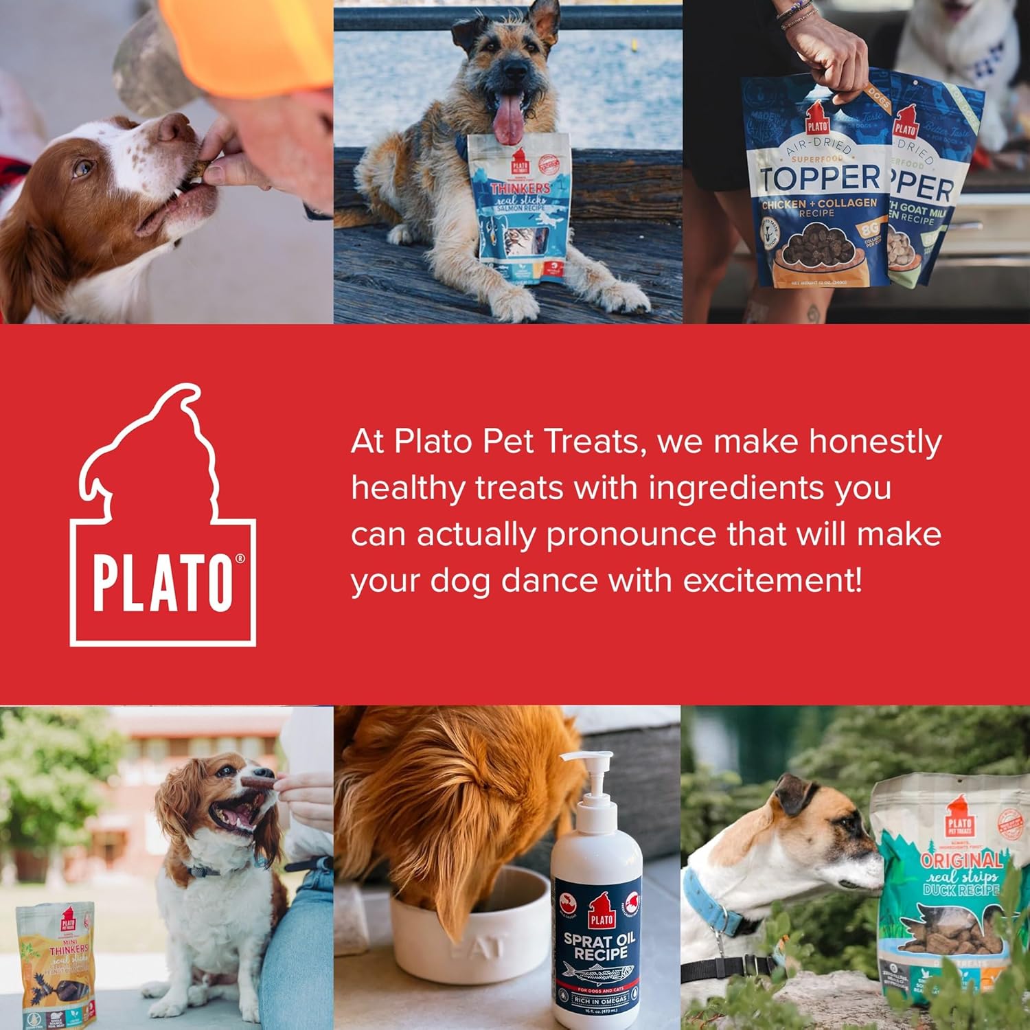Plato air dried superfood topper dog treats fish collagen recipe 5.5oz bag