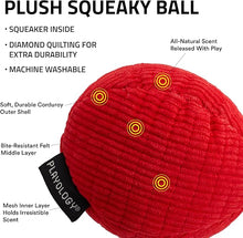 Playology all natural beef large dog toy