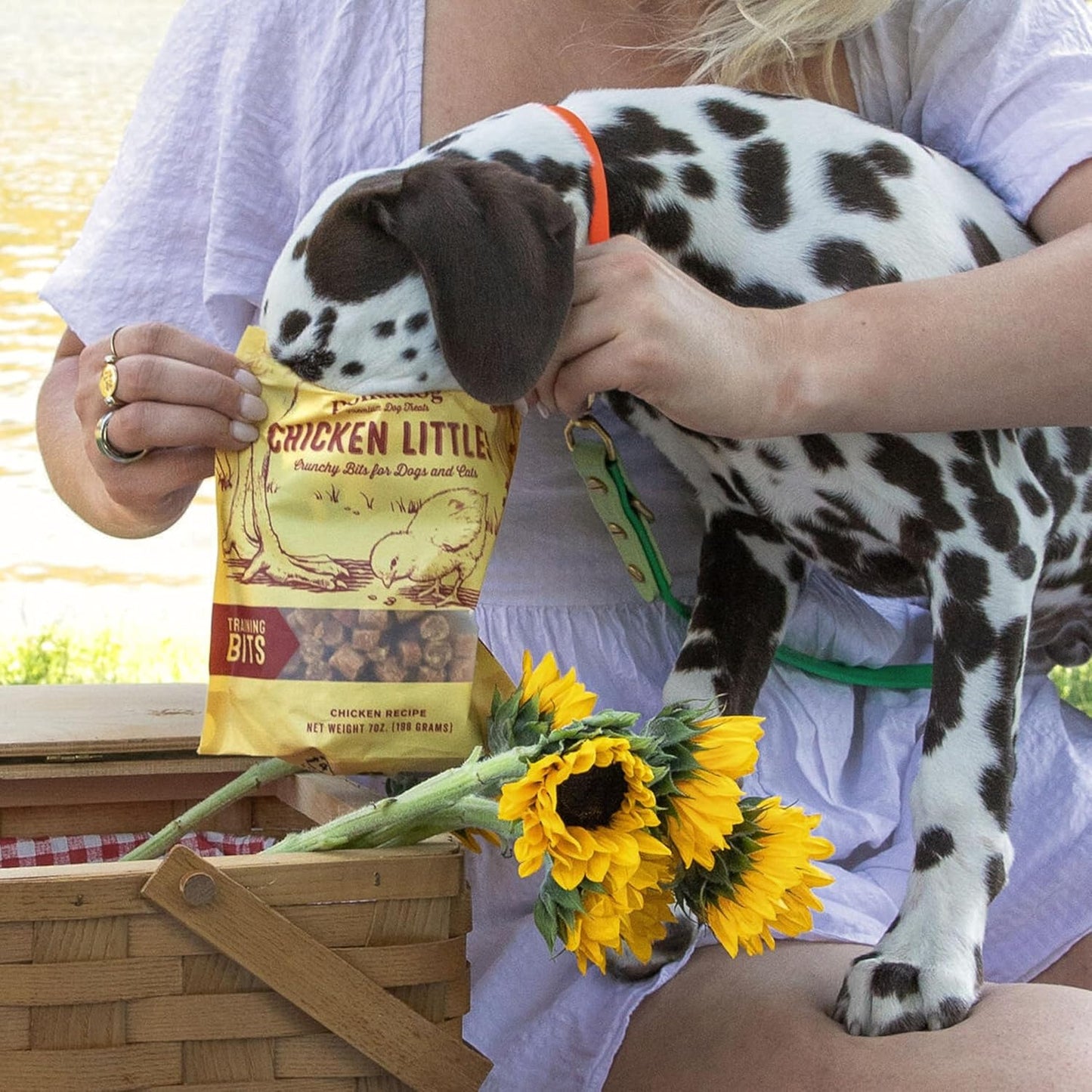 Polkadog chicken littles training bits chicken recipe 7oz dog & cat treats crunchy