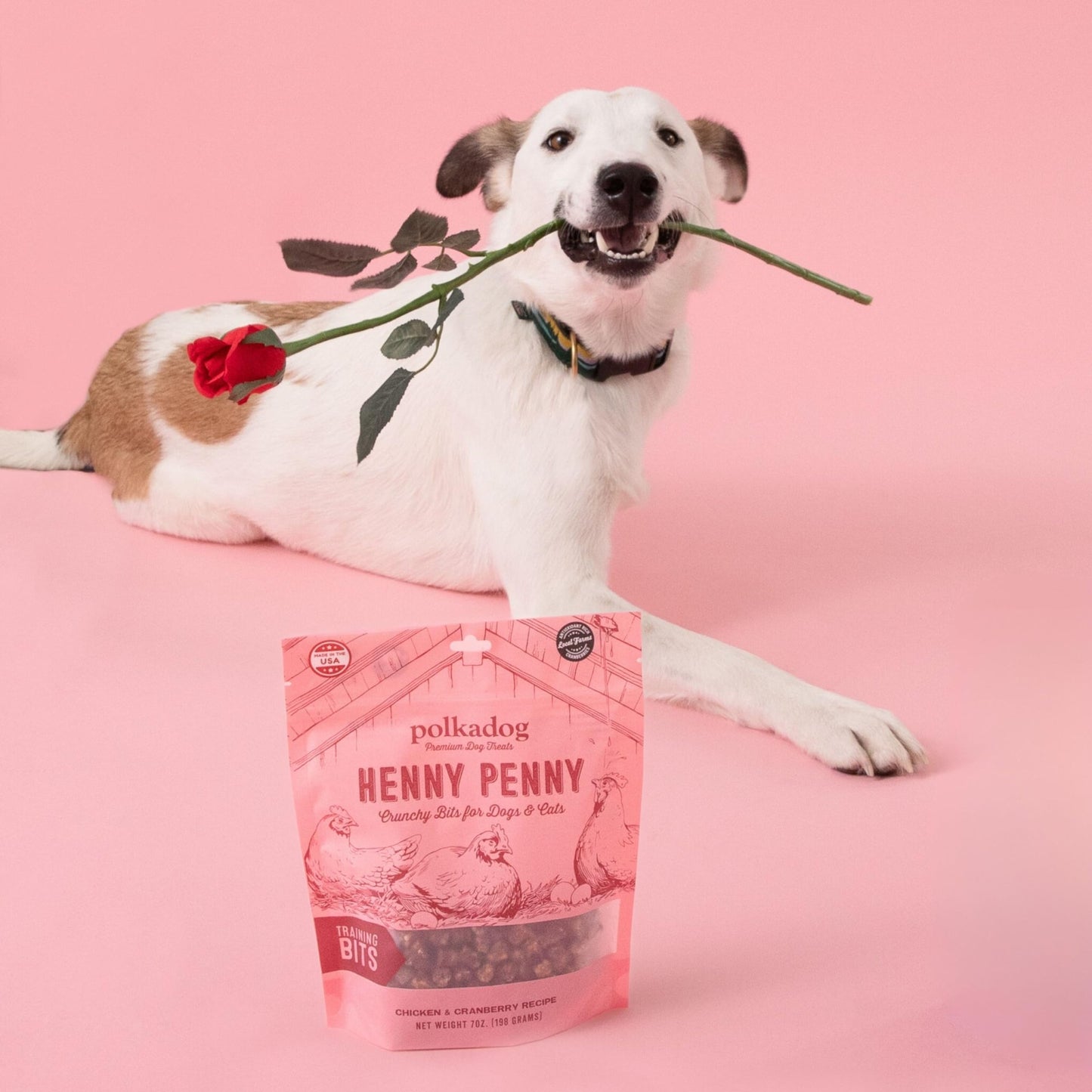 Polkadog Henny Penny Chicken & Cranberry Dog Treats Cat Snacks, Bite - Shaped Treat For Dogs, Puppies All - Natural Pet, Dog Treats 7 Oz