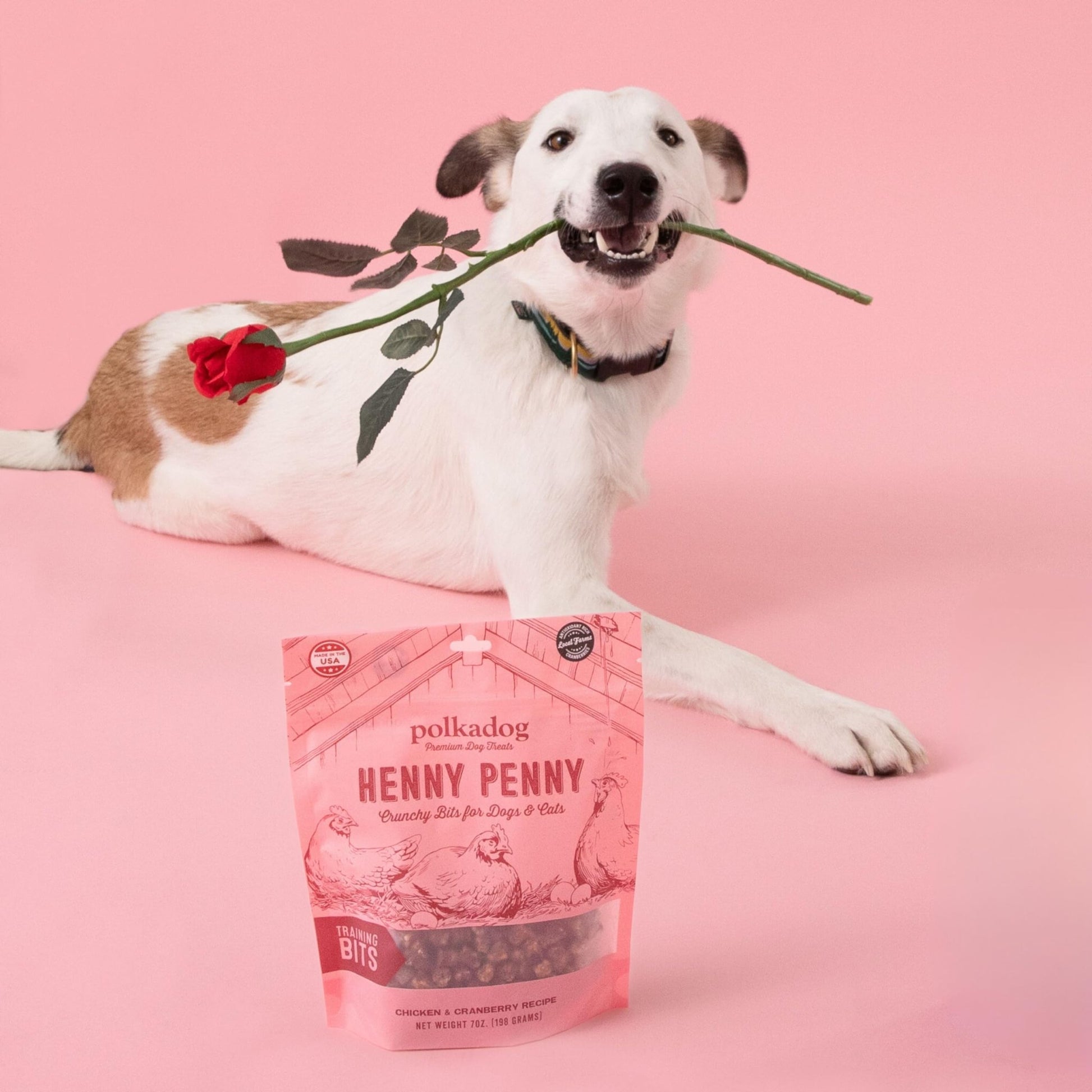 Polkadog Henny Penny Chicken & Cranberry Dog Treats Cat Snacks, Bite - Shaped Treat For Dogs, Puppies All - Natural Pet, Dog Treats 7 Oz