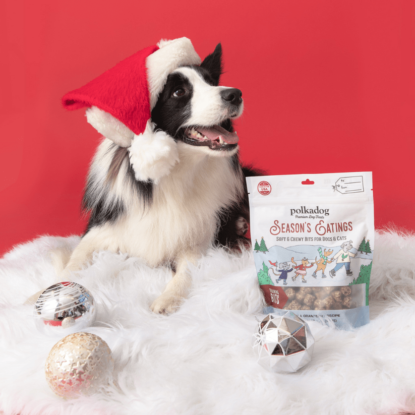 Polkadog season eatings soft and chewy bits for dogs turkey and cranberry