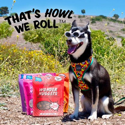 Polkadog Sweet Potato & Beef Wonder Nuggets Dog Treats All - Natural Pet Training Treats For Dogs – Healthy, Handmade Puppy Snacks – Bite - Sized, Soft, Chewy Treats For Pets 10 Oz