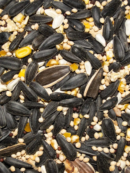 Premium wild bird superior blend 5lbs