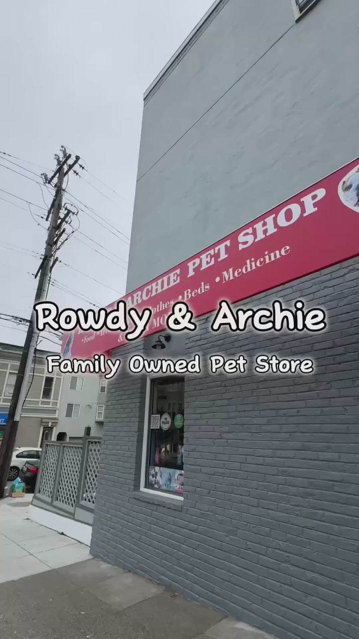 Load video: Rowdy &amp; Archie Pet Supplies Store