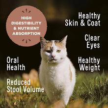 Primal Freeze Dried Raw Cat Food Nuggets Venison, Complete & Balanced Meal or Topper, Premium, Healthy, Grain Free, High Protein Raw Cat Food with Probiotics (14 oz)